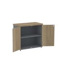 Ver imagem 5 de Armário para Escritório Baixo 2 Portas com Chave