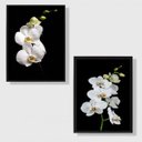 Ver imagem 3 de Kit 2 Quadros Fotografia Orquídeas Brancas 24x18cm:madeira Preta