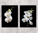 Ver imagem 2 de Kit 2 Quadros Fotografia Orquídeas Brancas 24x18cm:madeira Preta