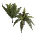 Ver imagem 3 de 2 Plantas Artificiais Folhagens Decorativas para Jardim Vertical