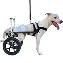 Ver imagem 1 de Cadeira Rodas para Cachorro Pet de Grande Porte N4 Off Road
