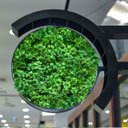 Ver imagem 6 de 15 Paineis Artificiais Realista para Painel de Parede e Decoração de Interiores Design no Quarto