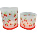 Ver imagem 3 de Tupperware Kit 2 Peças Refri Line Morangos 3,3l e 2,1l