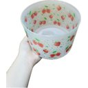 Ver imagem 5 de Tupperware Kit 2 Peças Refri Line Morangos 3,3l e 2,1l