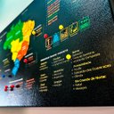 Ver mais imagens de Quadro Mapa do Brasil Marcar Viagens | Pronto para Pendurar