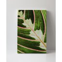 Ver imagem 3 de Tela em Canvas 092