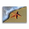 Quadro Canvas Estrela Do Mar Areia 90X60Cm M011 - 3