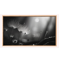 Ver imagem 2 de Quadro Decorativo N°172 115x70cm - Panorâmico Botânico - Filamentos Preto e Branco - Rollflex