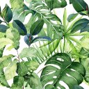 Ver imagem 1 de Papel de Parede Decorativo Folhagem Samambaias Verdes 3,0m