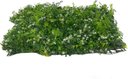 Ver imagem 2 de Painel Jardim Vertical Planta Artificial Decoração 60x40cm