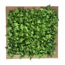 Ver imagem 1 de 20 Mini Hera Artificial Verde Folhagem Premium Realista para Decoração Interna e Vasos