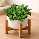 Ver mais imagens de 20 Mini Hera Artificial Verde Folhagem Premium Realista para Decoração Interna e Vasos