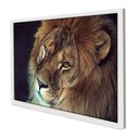Ver imagem 1 de Quadro Decorativo a Face do Leão em Moldura Caixa Tacolado Moldura Trad 1cm Branca com Vidro 30 X 40