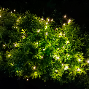Pisca-pisca Fio de Fada, 7m, a Luz Solar, Externo, Luz Quente