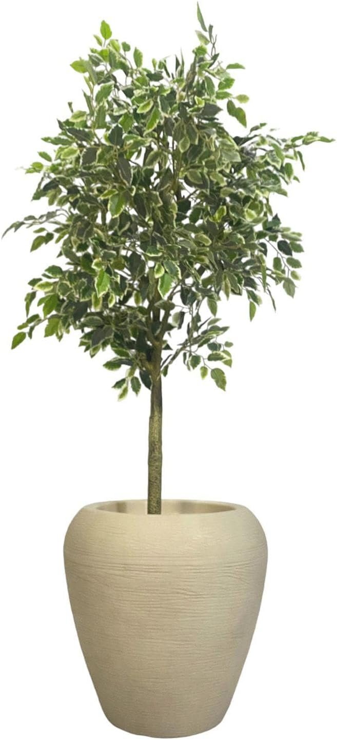 Planta Artificial Ficus Variegata Planta Grande Decoração com 170cm - 2