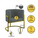 Ver imagem 7 de Kit 2 Poltronas + Sofá 2 Lugares Base de Metal Gold Balaqui