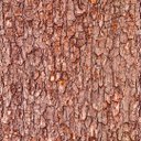Ver imagem 2 de Papel de Parede Adesivo Casca de Árvore - 3,5m