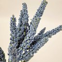 Ver imagem 6 de Flor Artificial Astilbe Azul 96x23cm Planta Artificial