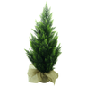 Arvore Planta Verde Folhagem Cipreste Premium 90cm com Pote - 1