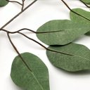 Ver imagem 2 de 10 Galhos Folhas de Fícus Artificial Jardim Vertical
