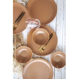 Conjunto com 6 Pratos Fundo Coup Organic Terracota Ø25cm Alleanza Cerâmica - 2