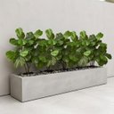 Ver mais imagens de Kit 4 Mini Árvores Ficus Lyrata Artificial 85cm Planta Decorativa Premium Silicone Realista Alto Pad