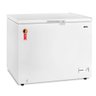 Freezer e Conservador Horizontal Efh250x 1 Porta Eco Gelo 192l Eos - 1