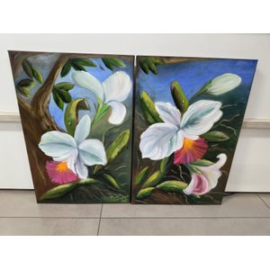 Duo de Quadros de Orquideas 40x60