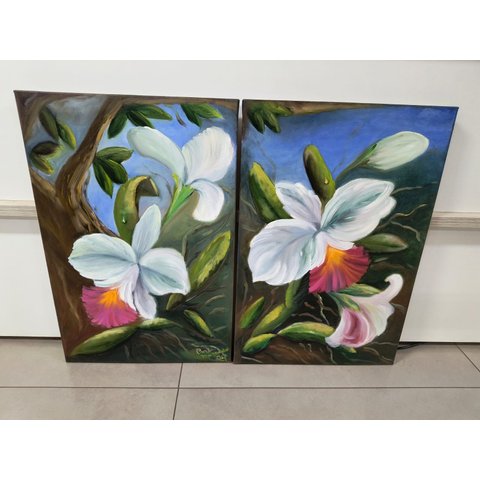 Duo de Quadros de Orquideas 40x60