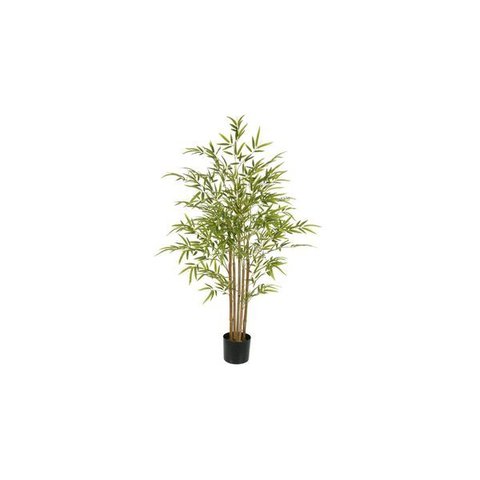 Árvore Bambu Japonês Gigante 2,58m | Formosinha