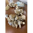 Ver imagem 1 de Colar de Mesa Conchas Detalhe em Madeira e Tassel Decorativo