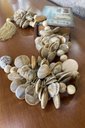 Ver imagem 1 de Colar de Mesa Conchas Detalhe em Madeira e Tassel Decorativo
