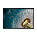 Ver imagem 1 de Quadro Decorativo - Dente de Leao Detalhe Macro Azul Flnt076 - Tela Canvas - 60x40cm