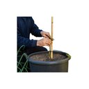 Ver imagem 3 de Bambu Cavo Tratado para Artesanato: 50cm X 1.5cm - 12un