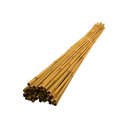 Ver imagem 1 de Bambu Cavo Tratado para Artesanato: 50cm X 1.5cm - 12un
