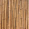 Bambu Cavo Tratado para Artesanato: 50cm X 1.5cm - 12un - 2