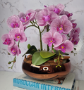 Ver imagem 2 de Arranjo Com 4 Orquídeas Violeta Vaso Cobre 28cm