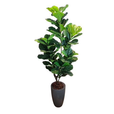 Planta Artificial Árvore Ficus Lyrata 1,70m Kit com Vaso Cinza 40cm