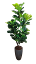 Ver imagem 1 de Planta Artificial Árvore Ficus Lyrata 1,70m Kit com Vaso Cinza 40cm
