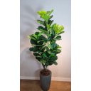 Ver imagem 4 de Planta Artificial Árvore Ficus Lyrata 1,70m Kit com Vaso Cinza 40cm