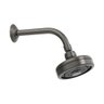Chuveiro Deca Acqua Plus Standart Dark Antracite 1990.gf.std.mt - 3