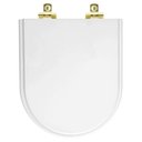 Ver imagem 1 de Assento Sanitário com Amortecedor Riviera Branco para Vaso Celite com Ferragem Dourada