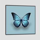 Ver imagem 3 de Quadro Borboleta Azul Tela Moldura Preta 60X60Cm