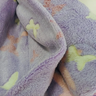 Manta Solteiro Microfibra Brilha no Escuro Infantil 150 X 200 Lilás - Borboleta - 4