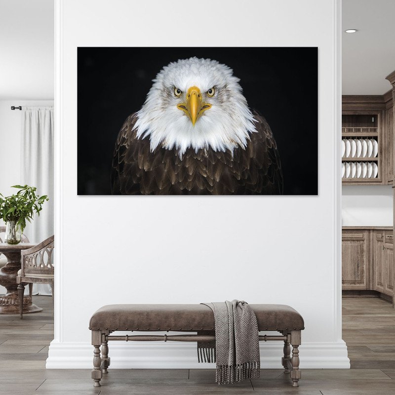 Quadro Decorativo Tela Canvas Animais Bald Eagle - 150x80 Cm - 3