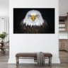 Quadro Decorativo Tela Canvas Animais Bald Eagle - 150x80 Cm - 3