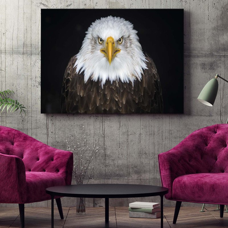 Quadro Decorativo Tela Canvas Animais Bald Eagle - 150x80 Cm - 2