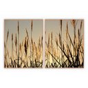 Ver imagem 1 de kit com 2 Quadros Decorativos Florais com Moldura e Vidro para Sala Quarto Escritório e Clínica 62x7