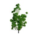 Ver imagem 4 de 6 Plantas Suculenta Sedum Artificial Volumosa para Arranjos e Paisagismo