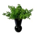 Ver imagem 6 de 6 Plantas Suculenta Sedum Artificial Volumosa para Arranjos e Paisagismo